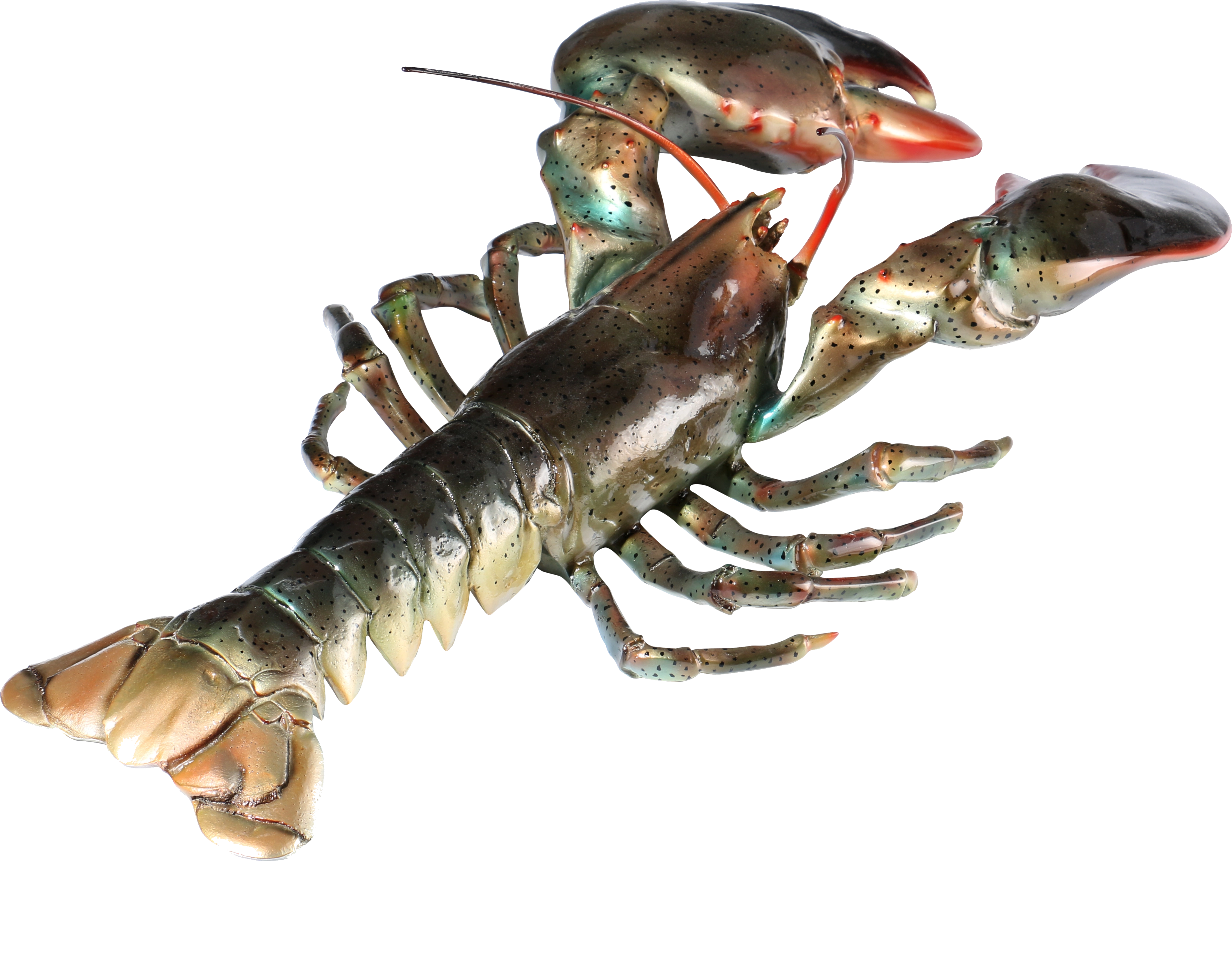 Crayfish replica sculpture