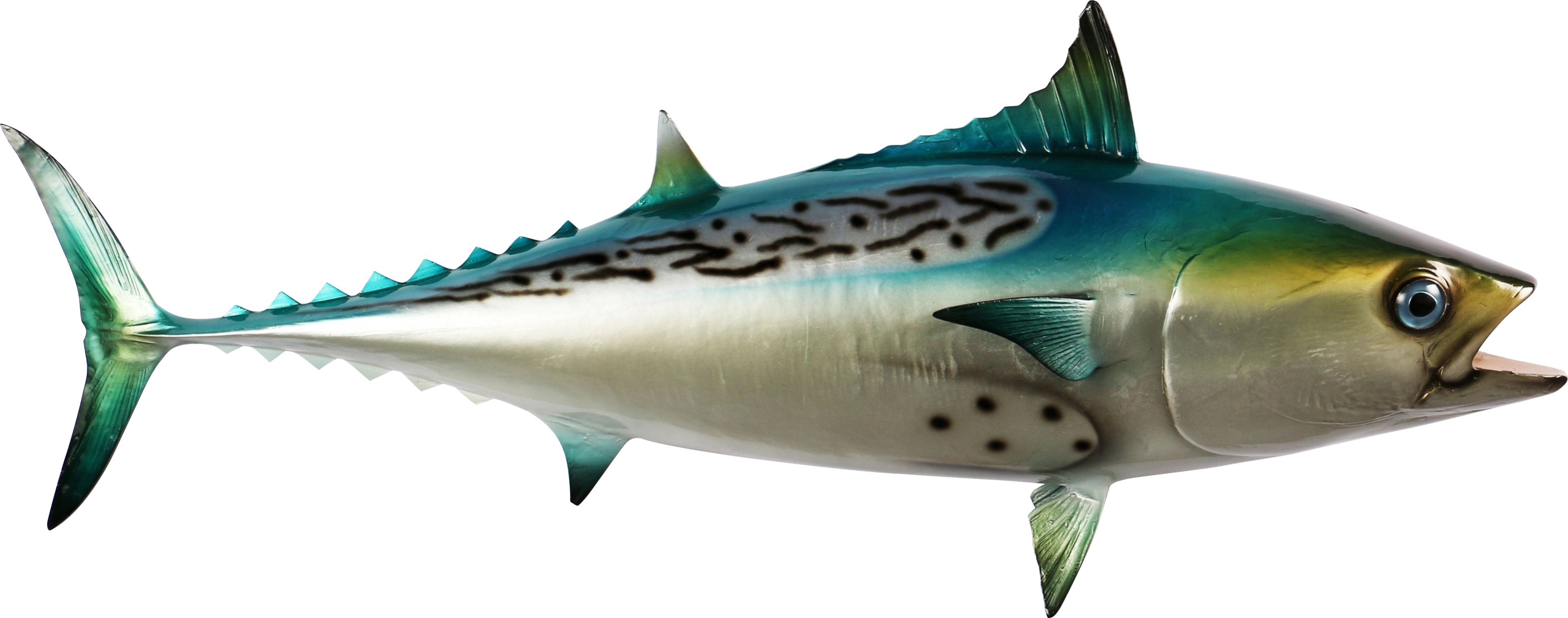 Mac tuna mount